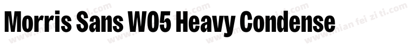 Morris Sans W05 Heavy Condensed字体转换